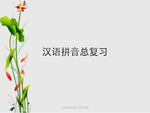 汉语拼音总复习非常全面