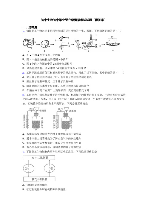 初中生物初中毕业暨升学模拟考试试题(附答案)