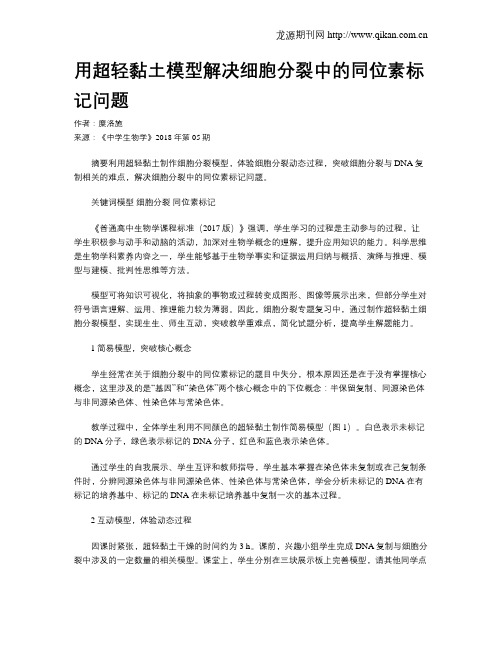 用超轻黏土模型解决细胞分裂中的同位素标记问题