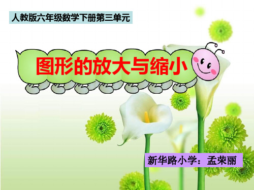 《图形的放大与缩小》课件