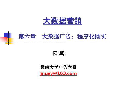 第六章 大数据广告：程序化购买[46页]