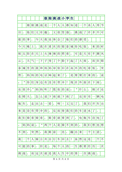 2019年极限挑战小学生作文400字
