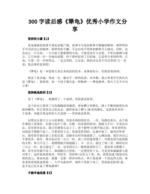 300字读后感《犟龟》优秀小学作文分享