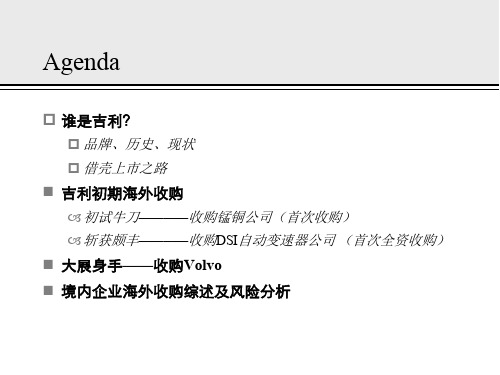某企业海外并购案例分析(PPT 32页)