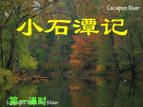 26小石潭记第一课时