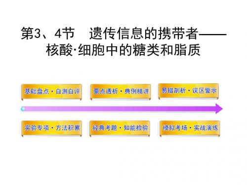 高三生物一轮复习同步课件人教版：1.2第3、4节  遗传信息的携带者——核酸·细胞中的糖类和脂质