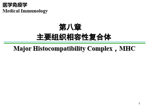 医学免疫学-第八章 主要组织相容性复合体