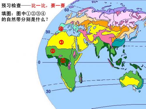 精品课件自然地理环境的差异性