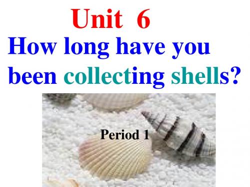 鲁教版期八年级上册 Unit6 How long have you been collecting shells  PPT课件