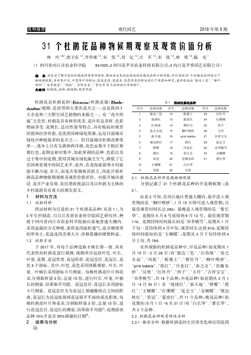 31个杜鹃花品种物候期观察及观赏价值分析