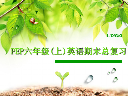 2014新版pep六年级上英语总复习