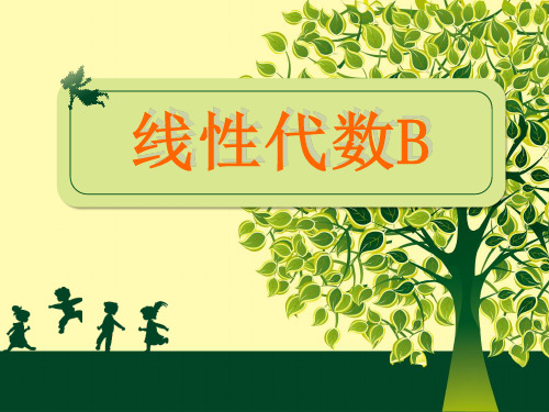 线性代数B n阶行列式的概念