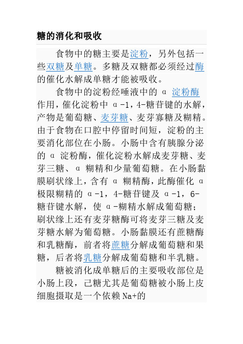 糖代谢百度百科