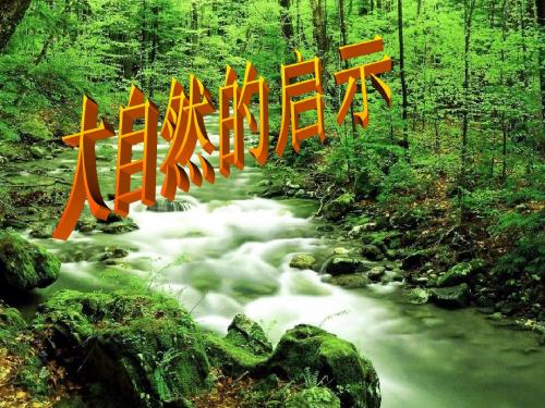 小学四年级语文下册园地3习作    大自然的启示