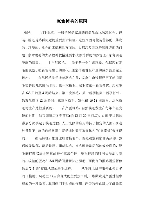 家禽掉毛的原因.doc