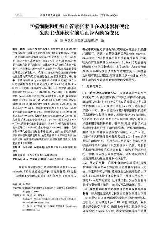 巨噬细胞和组织血管紧张素Ⅱ在动脉粥样硬化兔腹主动脉狭窄前后血管内膜的变化