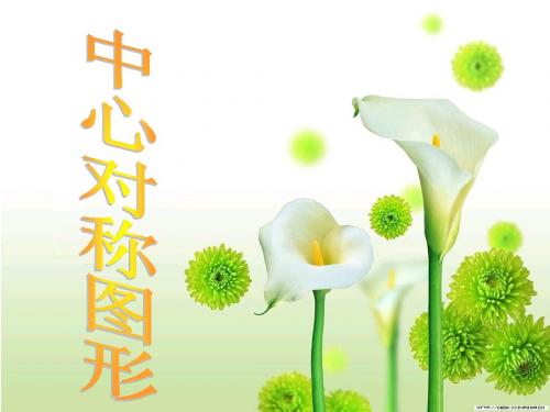九年级数学《中心对称图形》课件
