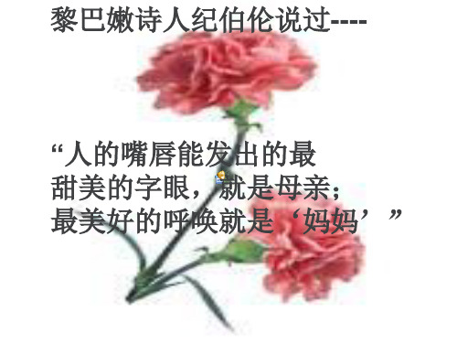 综合性学习献给母亲的歌