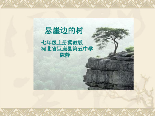 河大版()语文七上5.18《悬崖边的树》课件(22张)(共22张PPT)