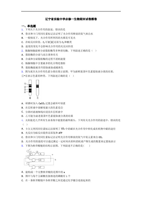 辽宁省实验中学必修一生物期末试卷模卷