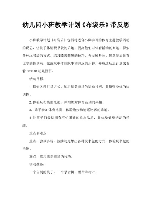 幼儿园小班教案《布袋乐》含反思