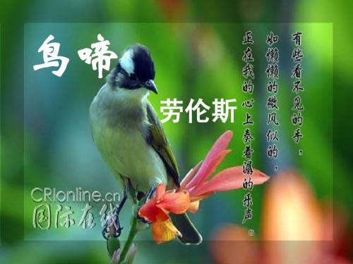 苏教必修二语文课件《鸟啼》