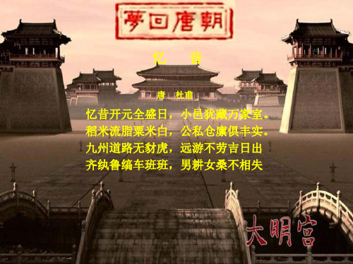 唐的盛衰(新教材)