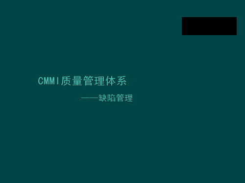 CMMI质量管理体系软件测试缺陷管理ppt课件