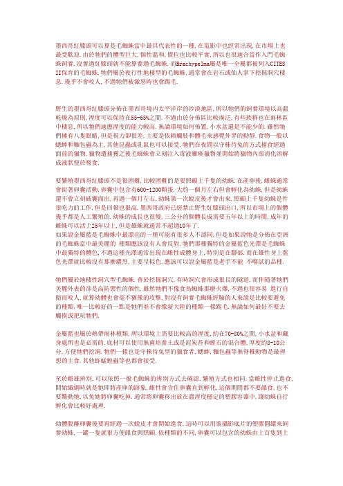 各种毛蜘蛛的饲养I
