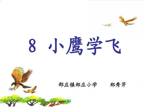 小鹰学飞____课件