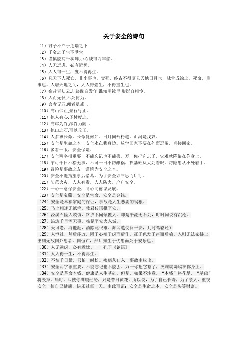 关于安全的诗句