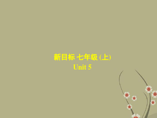 七年级英语上册 Unit5 What sport do they play Section A 2课件 人教新目标版