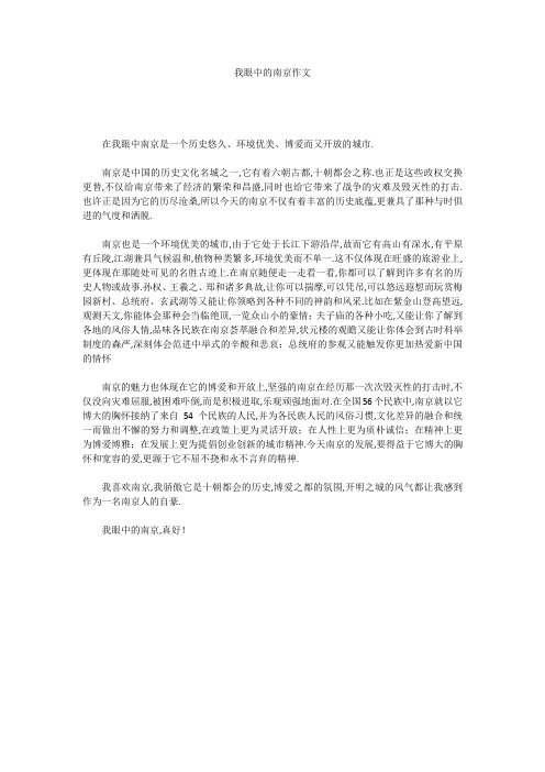 我眼中的南京作文