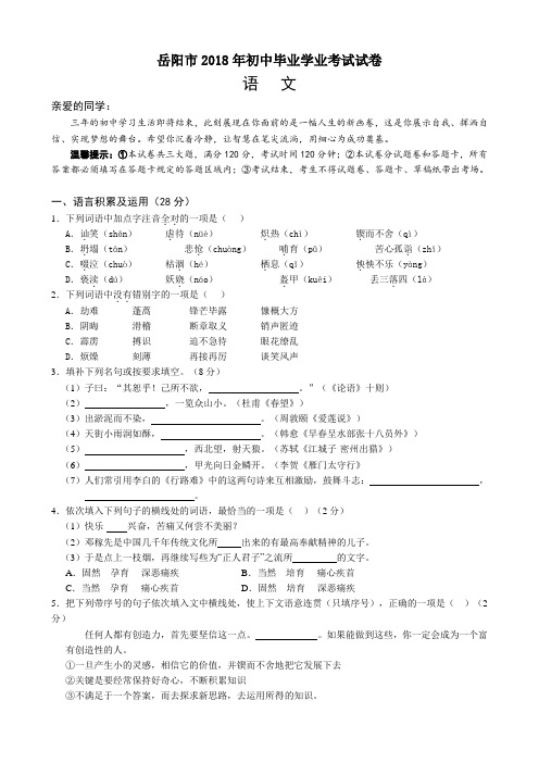 最新--湖南省岳阳市中考语文试题及答案 精品