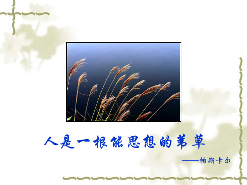 人是一根能思想的苇草