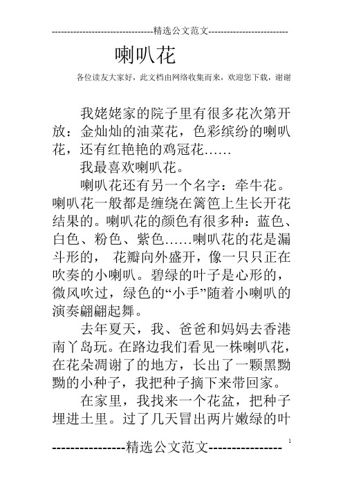 喇叭花