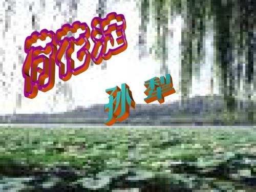 高一语文下册《荷花淀》课件 人教版第二册