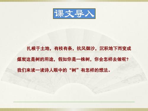 5674.苏教版初中语文24.我骄傲,我是一棵树课件