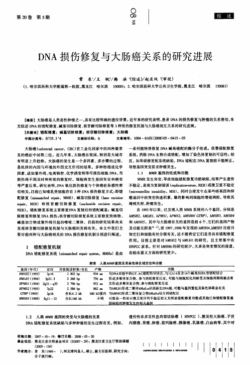 DNA损伤修复与大肠癌关系的研究进展