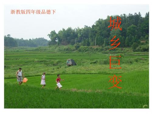 浙教版四下《城乡巨变》