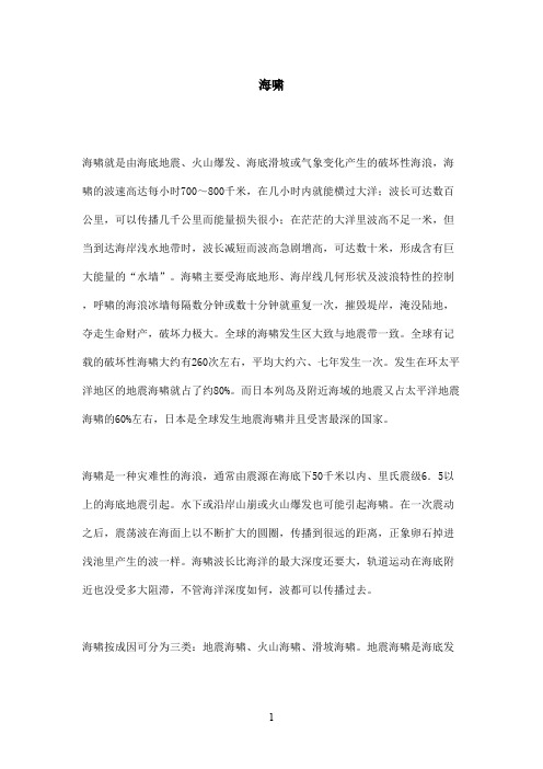 最新鲁教版(五四制)小学语文二年级上册《我是什么》资料海啸(精品)