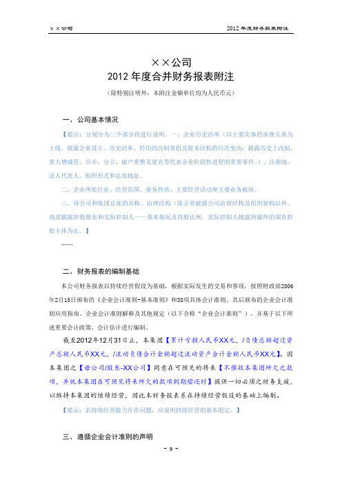 2012年度财务决算报表附注-(二级合并模板)