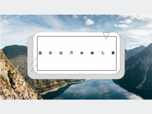 国际经济学第七章