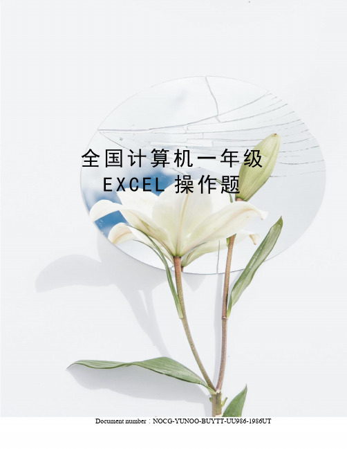 全国计算机一年级EXCEL操作题