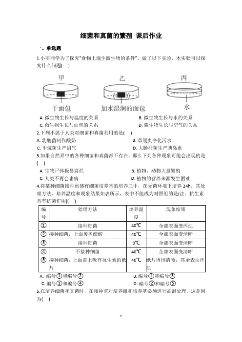 课后作业 细菌和真菌的繁殖