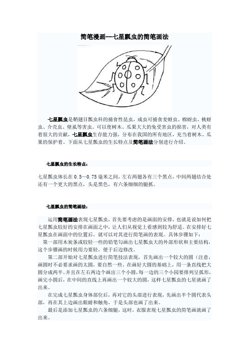七星瓢虫的画法