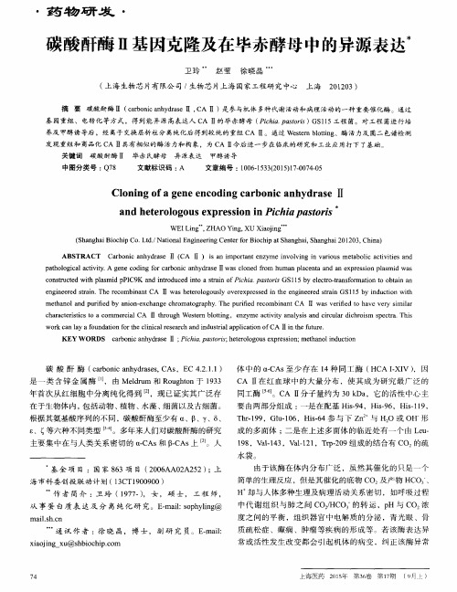 碳酸酐酶Ⅱ基因克隆及在毕赤酵母中的异源表达