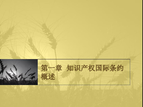 第一章知识产权国际条约概述