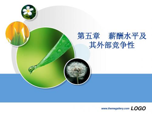 [05] 外部竞争性与薪酬水平1