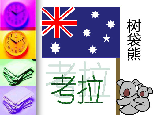 树袋熊(又名考拉)是澳大利亚奇特的珍贵原始树栖动物